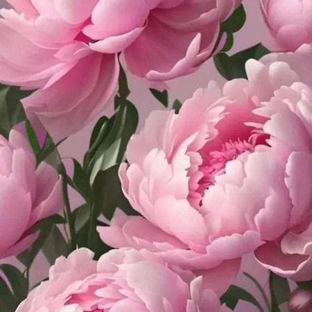 ヴィトルキアーノLa Peoniaアパートメント エクステリア 写真